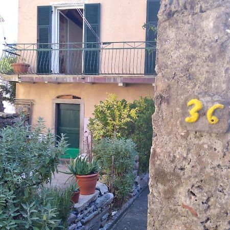 La Cantina Del Sole Ricco del Golfo di Spezia Ngoại thất bức ảnh