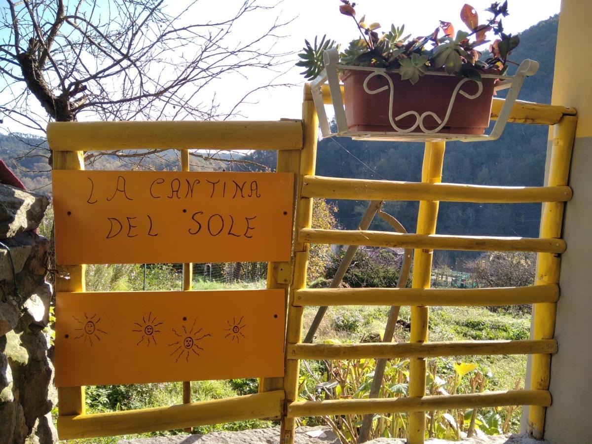 La Cantina Del Sole Ricco del Golfo di Spezia Ngoại thất bức ảnh