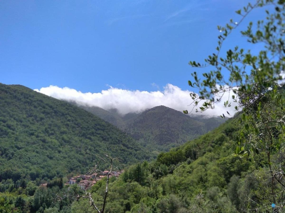 La Cantina Del Sole Ricco del Golfo di Spezia Ngoại thất bức ảnh