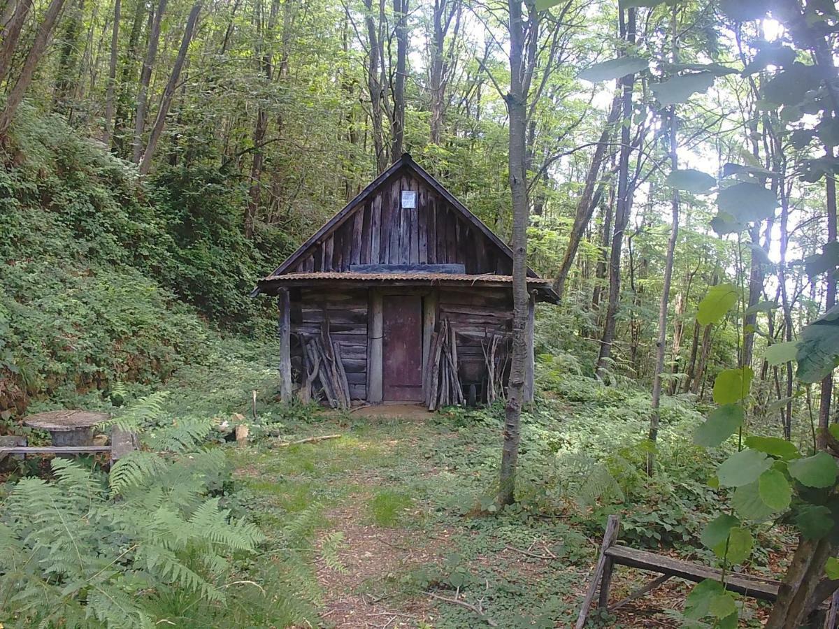 La Cantina Del Sole Ricco del Golfo di Spezia Ngoại thất bức ảnh