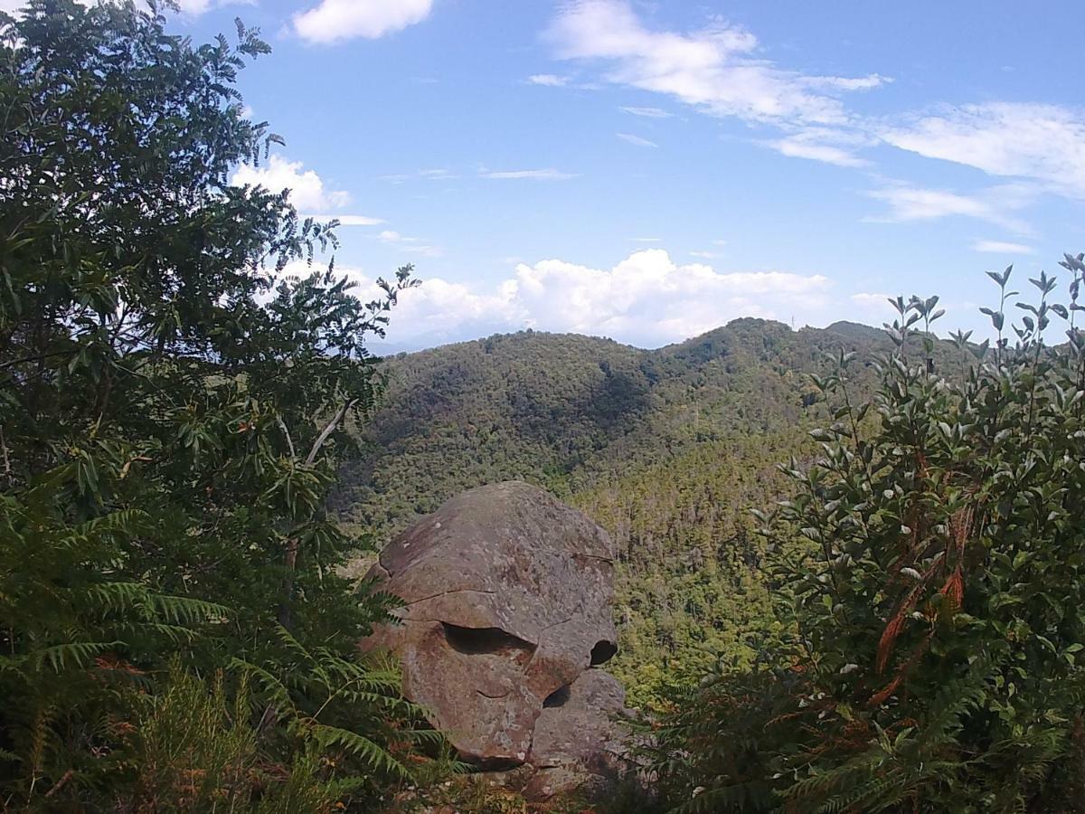La Cantina Del Sole Ricco del Golfo di Spezia Ngoại thất bức ảnh